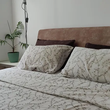 Aleksic Apartment *