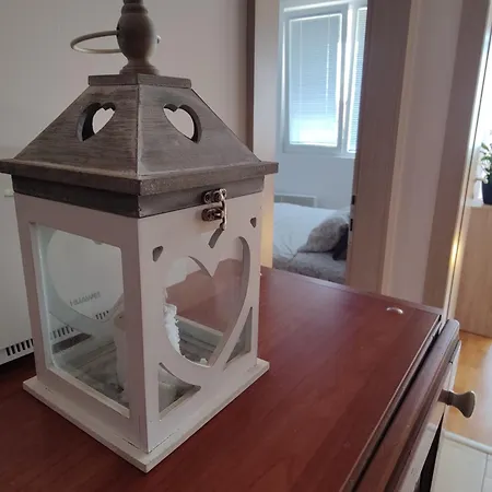 Aleksic Apartment Nis